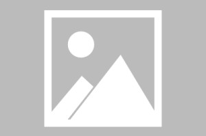 开云下载-奥卡福转会风波：利兹联与AC米兰的2000万欧元协议背后的故事