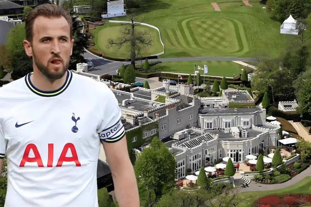 1688731139109070853.jpeg WechatIMG698.jpeg